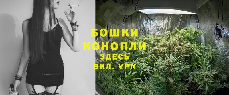 Бошки Шишки SATIVA & INDICA  Добрянка 